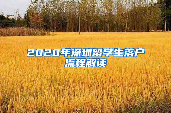 2020年深圳留学生落户流程解读