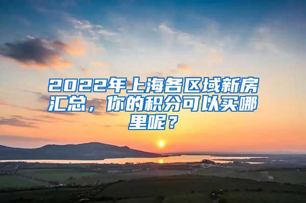 2022年上海各区域新房汇总，你的积分可以买哪里呢？