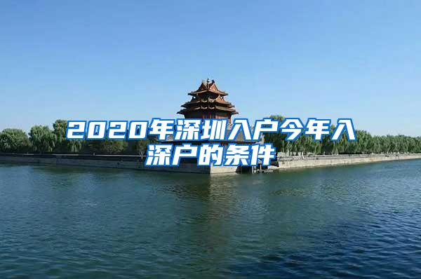 2020年深圳入户今年入深户的条件