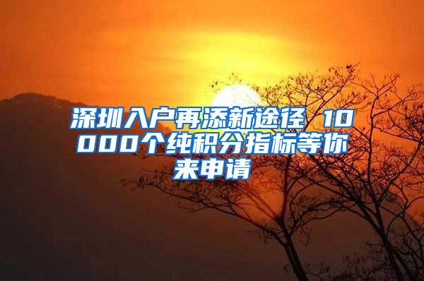 深圳入户再添新途径 10000个纯积分指标等你来申请