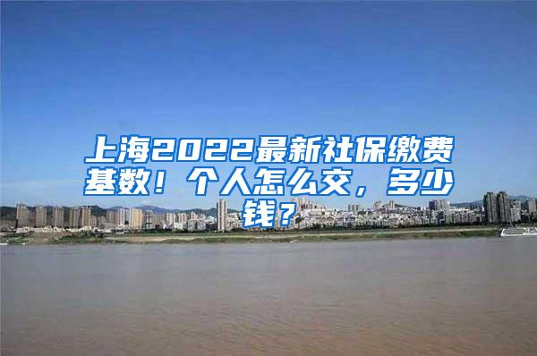 上海2022最新社保缴费基数！个人怎么交，多少钱？