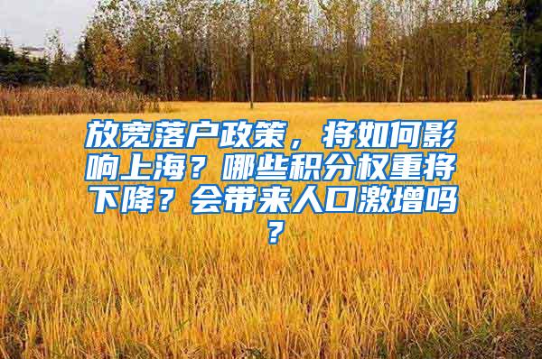 放宽落户政策，将如何影响上海？哪些积分权重将下降？会带来人口激增吗？
