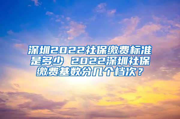 深圳2022社保缴费标准是多少 2022深圳社保缴费基数分几个档次？