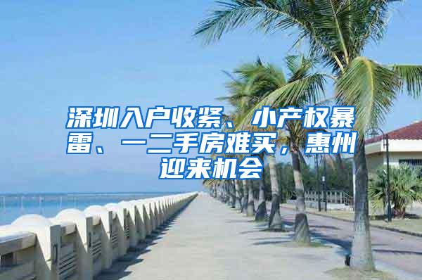 深圳入户收紧、小产权暴雷、一二手房难买，惠州迎来机会