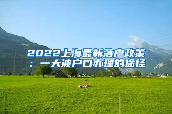 2022上海最新落户政策：一大波户口办理的途径