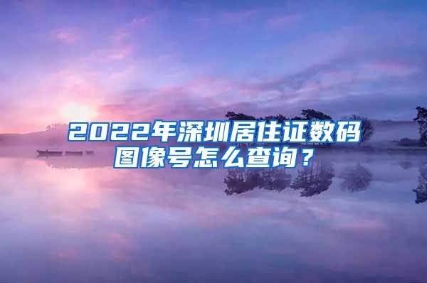 2022年深圳居住证数码图像号怎么查询？