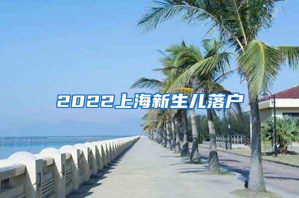 2022上海新生儿落户
