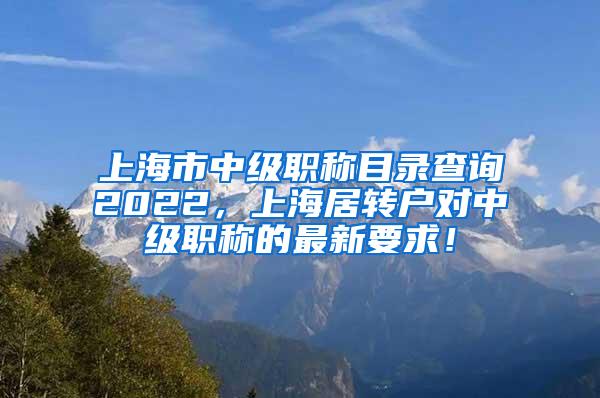 上海市中级职称目录查询2022，上海居转户对中级职称的最新要求！