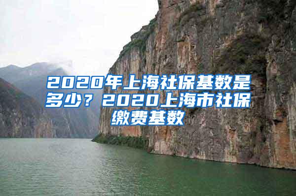 2020年上海社保基数是多少？2020上海市社保缴费基数