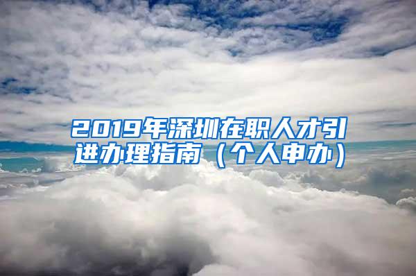 2019年深圳在职人才引进办理指南（个人申办）