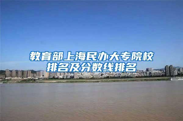 教育部上海民办大专院校排名及分数线排名