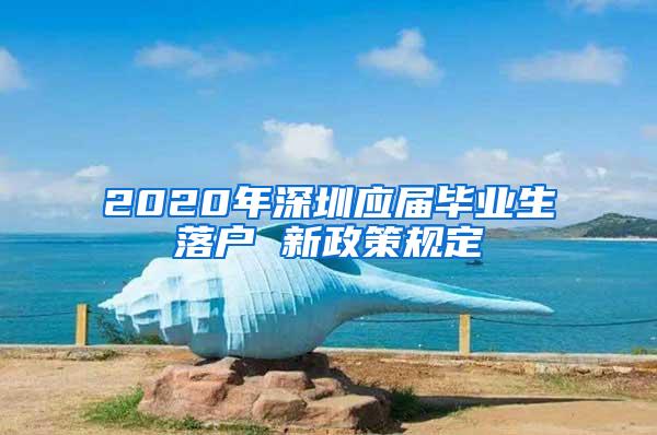 2020年深圳应届毕业生落户 新政策规定