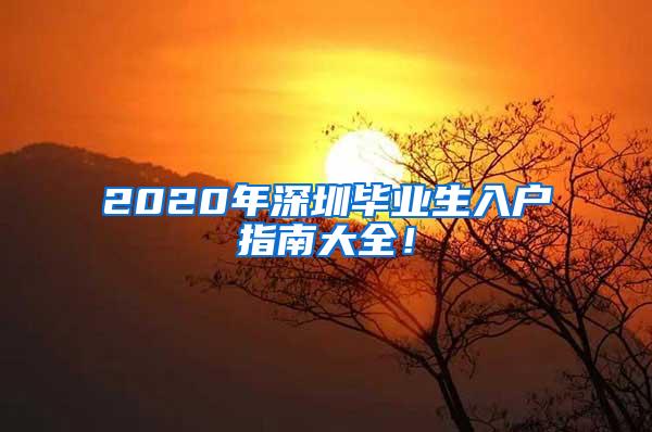 2020年深圳毕业生入户指南大全！