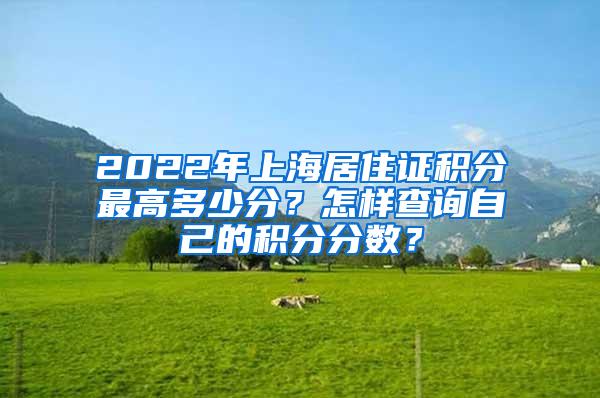 2022年上海居住证积分最高多少分？怎样查询自己的积分分数？