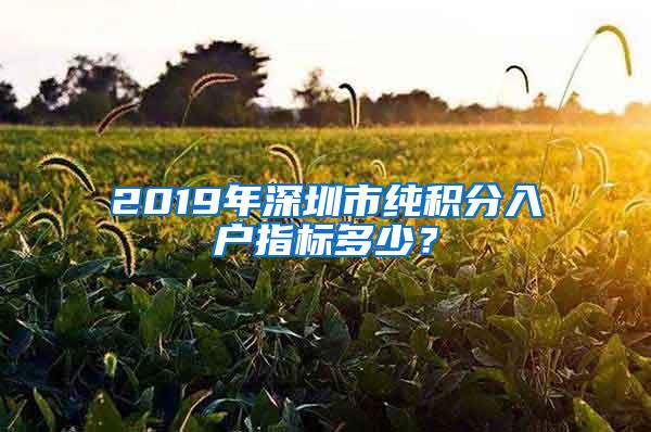 2019年深圳市纯积分入户指标多少？
