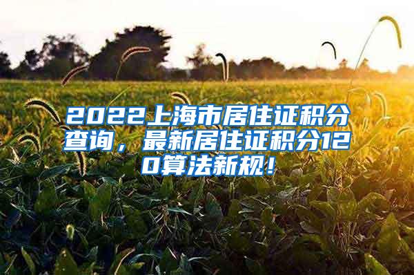 2022上海市居住证积分查询，最新居住证积分120算法新规！
