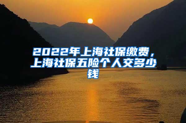 2022年上海社保缴费，上海社保五险个人交多少钱