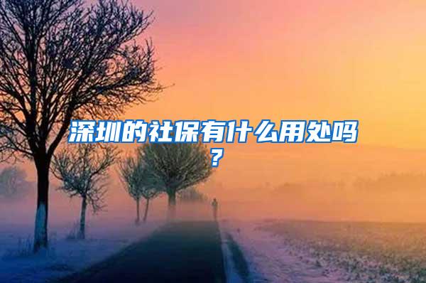 深圳的社保有什么用处吗？