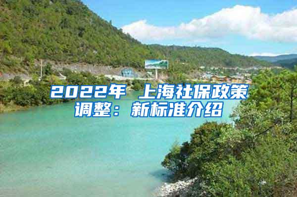 2022年 上海社保政策调整：新标准介绍