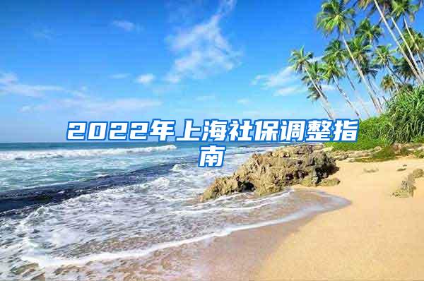 2022年上海社保调整指南