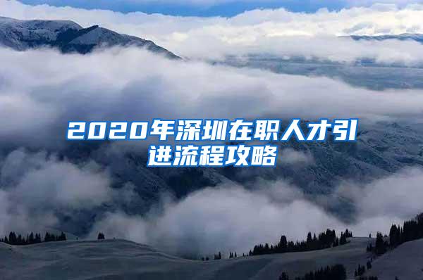 2020年深圳在职人才引进流程攻略