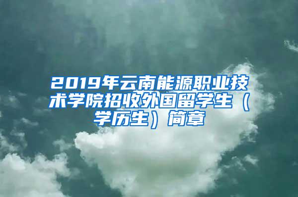 2019年云南能源职业技术学院招收外国留学生（学历生）简章