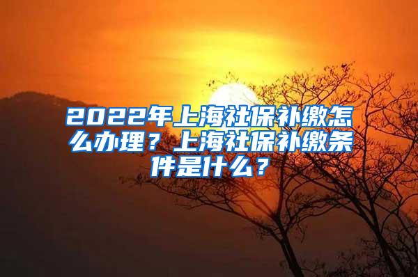2022年上海社保补缴怎么办理？上海社保补缴条件是什么？