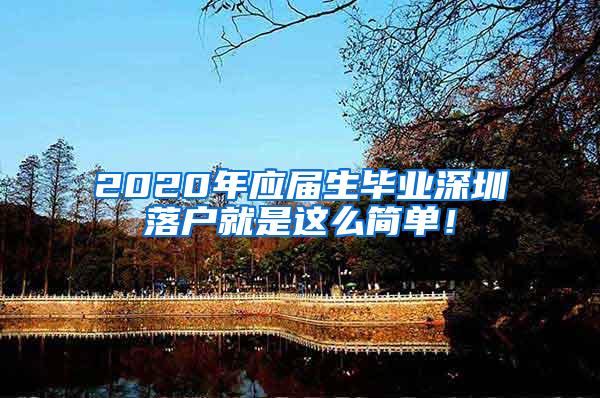 2020年应届生毕业深圳落户就是这么简单！