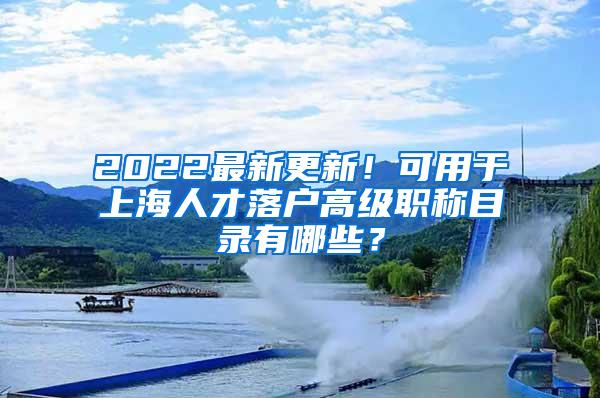 2022最新更新！可用于上海人才落户高级职称目录有哪些？