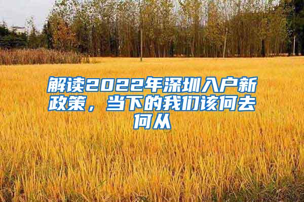 解读2022年深圳入户新政策，当下的我们该何去何从