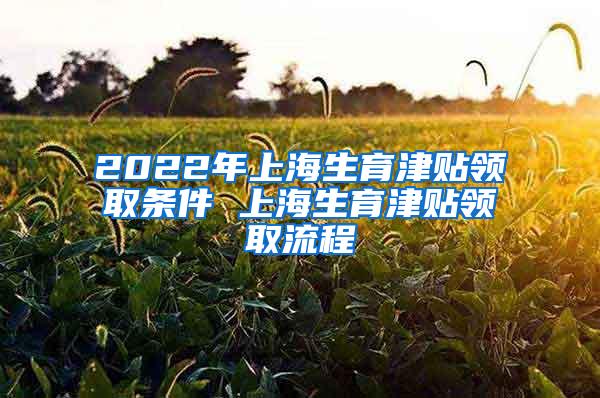 2022年上海生育津贴领取条件 上海生育津贴领取流程