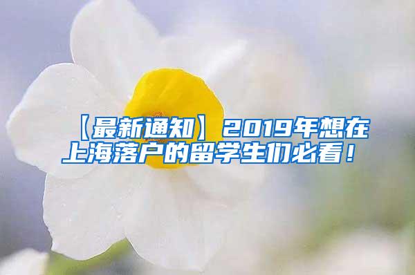 【最新通知】2019年想在上海落户的留学生们必看！