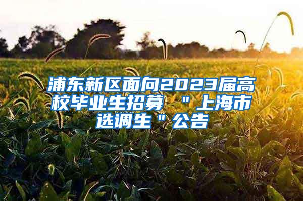 浦东新区面向2023届高校毕业生招募 ＂上海市选调生＂公告