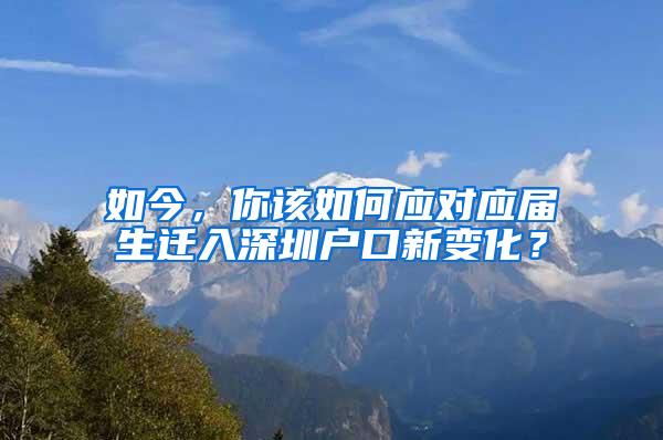 如今，你该如何应对应届生迁入深圳户口新变化？