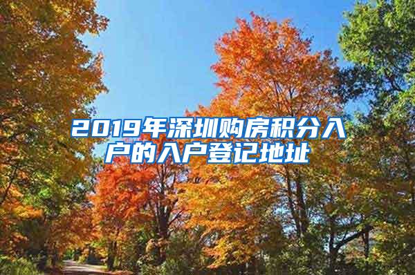 2019年深圳购房积分入户的入户登记地址