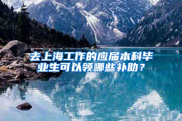 去上海工作的应届本科毕业生可以领哪些补助？