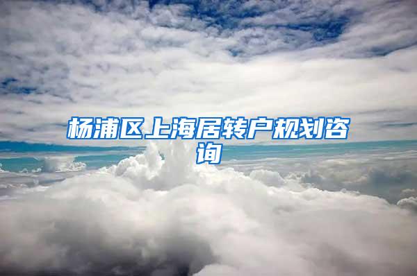 杨浦区上海居转户规划咨询