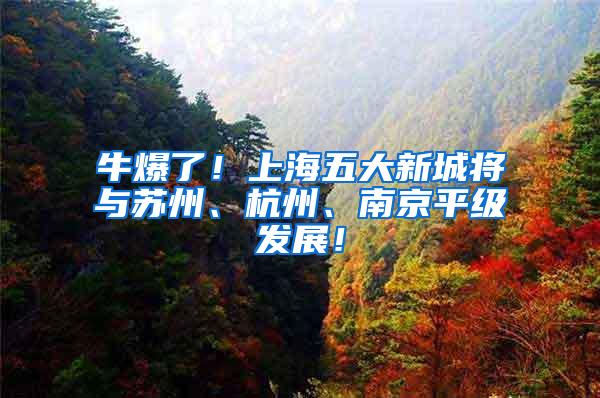 牛爆了！上海五大新城将与苏州、杭州、南京平级发展！