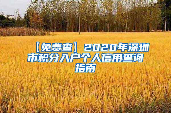 【免费查】2020年深圳市积分入户个人信用查询指南