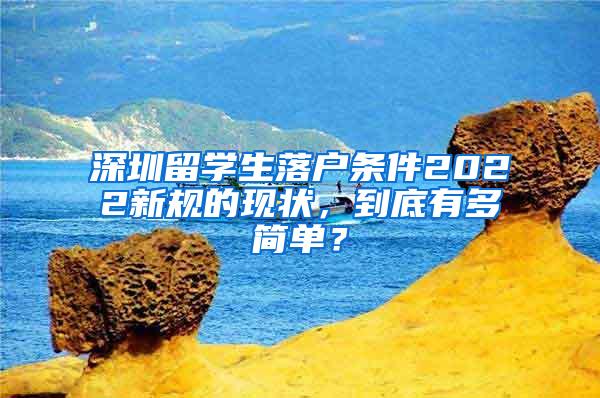深圳留学生落户条件2022新规的现状，到底有多简单？