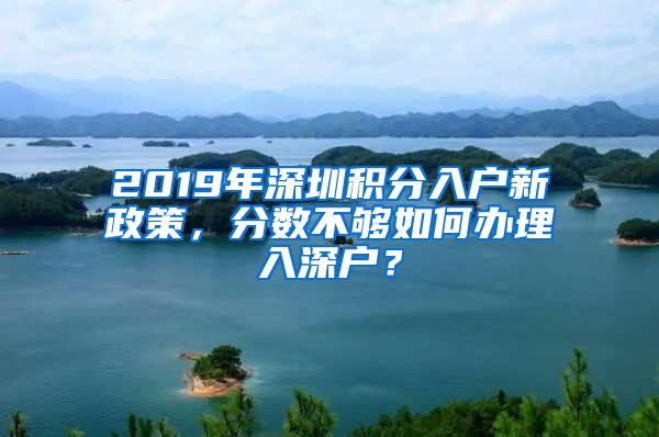 2019年深圳积分入户新政策，分数不够如何办理入深户？