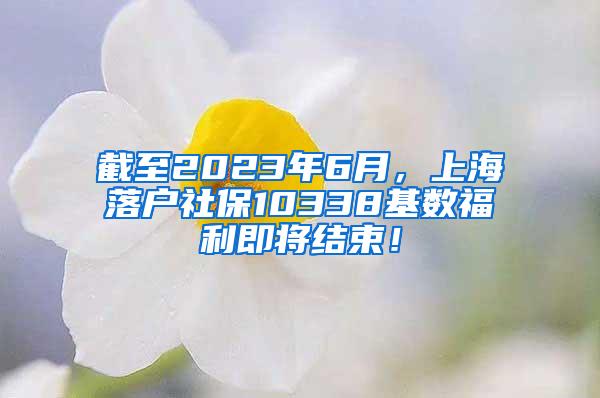 截至2023年6月，上海落户社保10338基数福利即将结束！