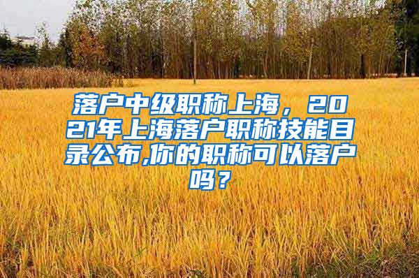 落户中级职称上海，2021年上海落户职称技能目录公布,你的职称可以落户吗？