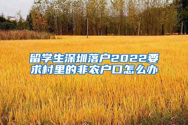 留学生深圳落户2022要求村里的非农户口怎么办