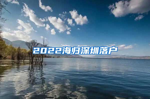 2022海归深圳落户
