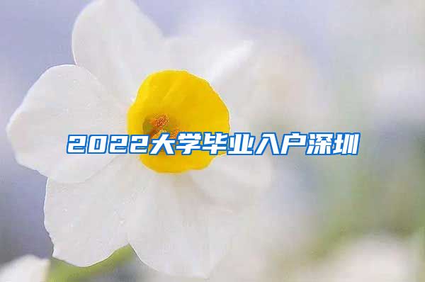 2022大学毕业入户深圳