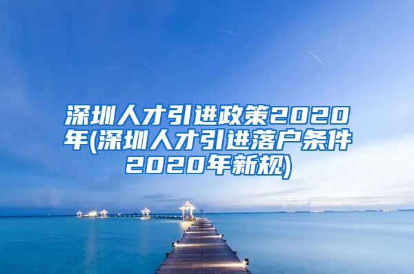 深圳人才引进政策2020年(深圳人才引进落户条件2020年新规)