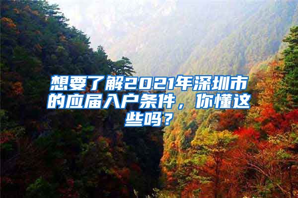 想要了解2021年深圳市的应届入户条件，你懂这些吗？