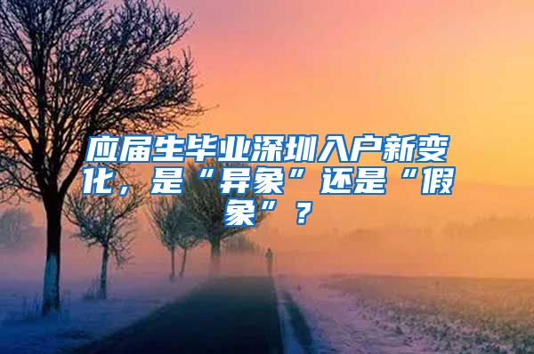 应届生毕业深圳入户新变化，是“异象”还是“假象”？