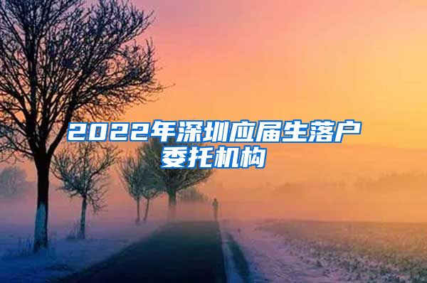 2022年深圳应届生落户委托机构